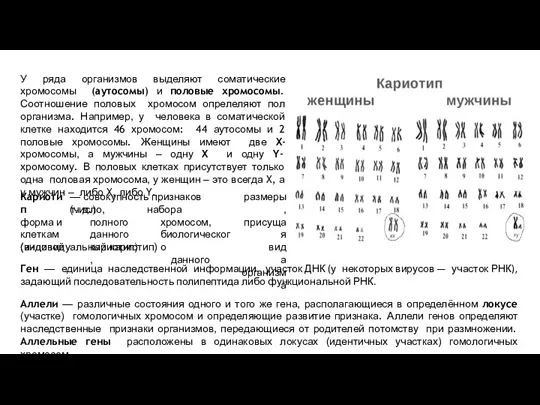 У ряда организмов выделяют соматические хромосомы (аутосомы) и половые хромосомы.