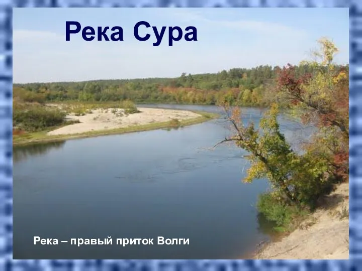 Река Сура Река – правый приток Волги