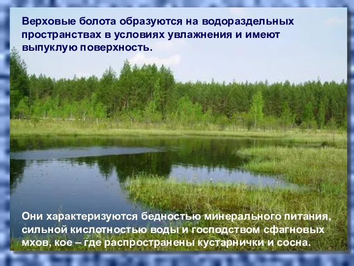 Верховые болота образуются на водораздельных пространствах в условиях увлажнения и