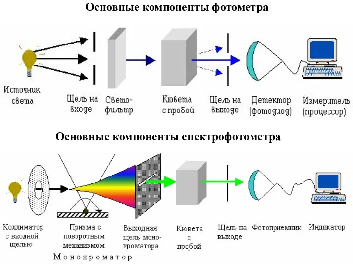 Основные компоненты фотометра Основные компоненты спектрофотометра