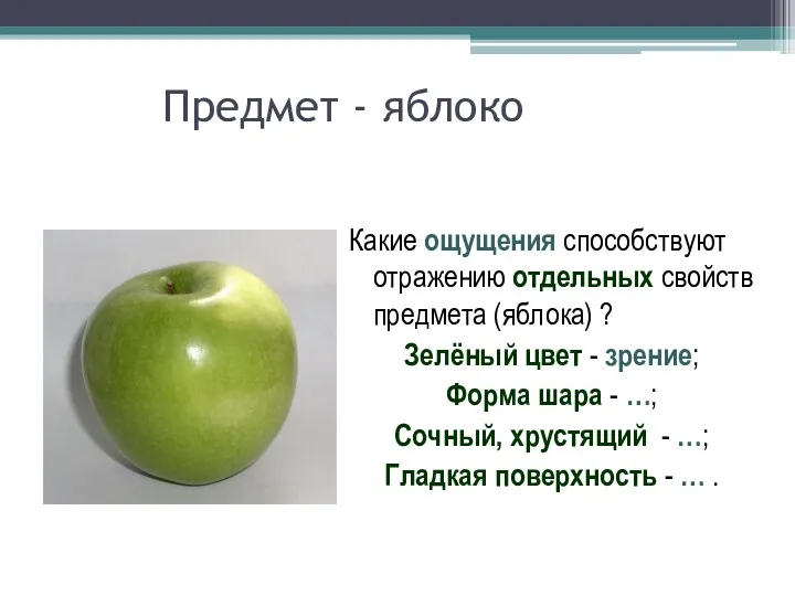 Предмет - яблоко Какие ощущения способствуют отражению отдельных свойств предмета