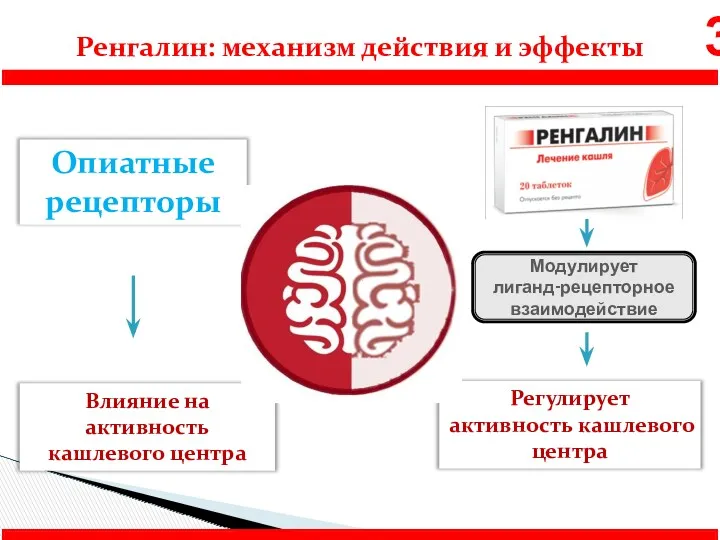 Влияние на активность кашлевого центра Опиатные рецепторы Регулирует активность кашлевого