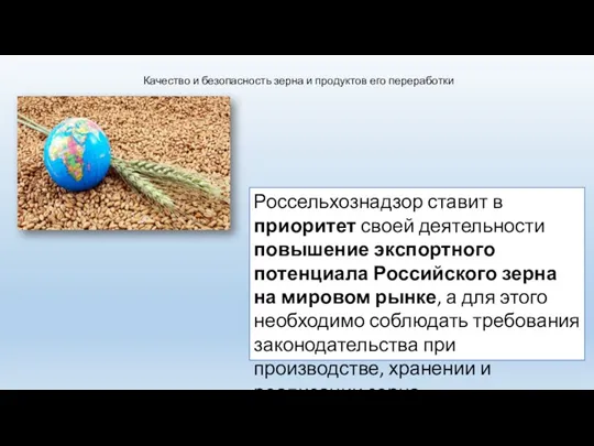 Качество и безопасность зерна и продуктов его переработки Россельхознадзор ставит