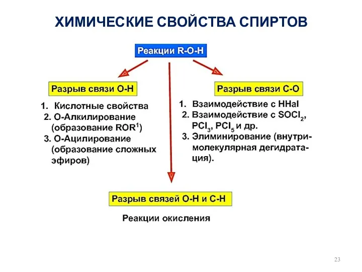 ХИМИЧЕСКИЕ СВОЙСТВА СПИРТОВ