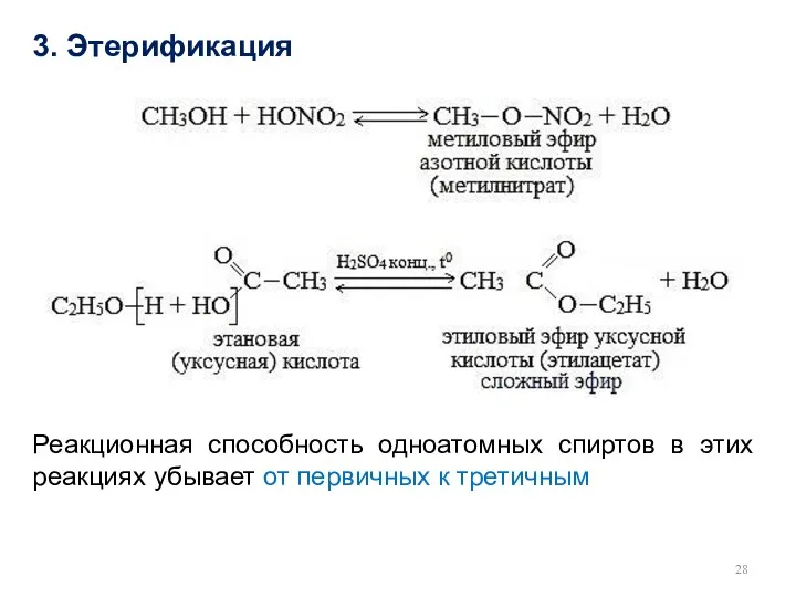 3. Этерификация Реакционная способность одноатомных спиртов в этих реакциях убывает от первичных к третичным