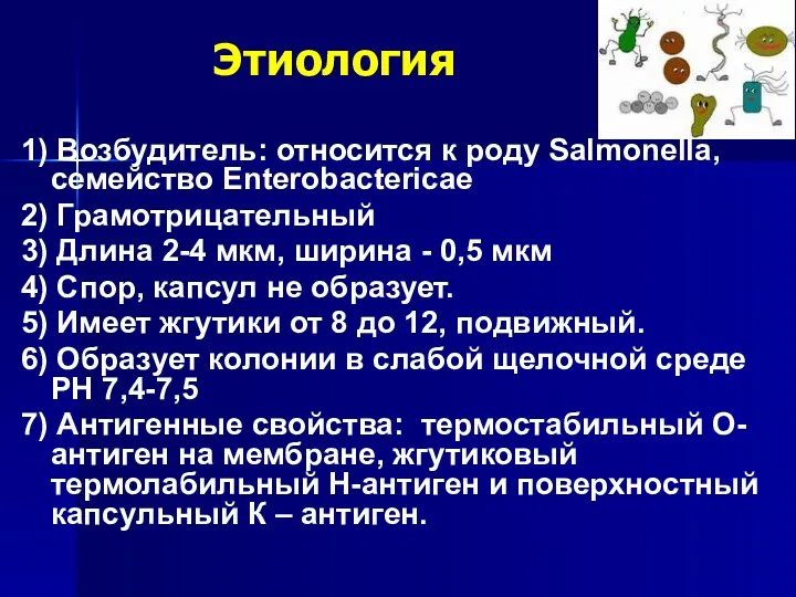 Этиология 1) Возбудитель: относится к роду Salmonella, семейство Enterobactericae 2)