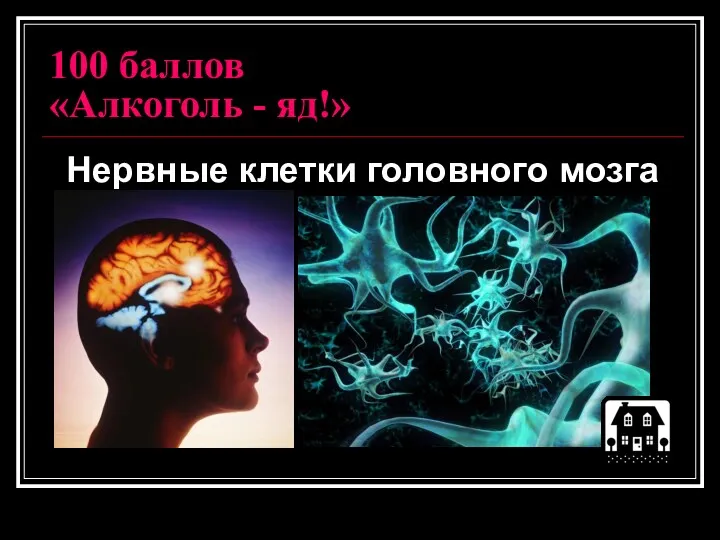 100 баллов «Алкоголь - яд!» Нервные клетки головного мозга