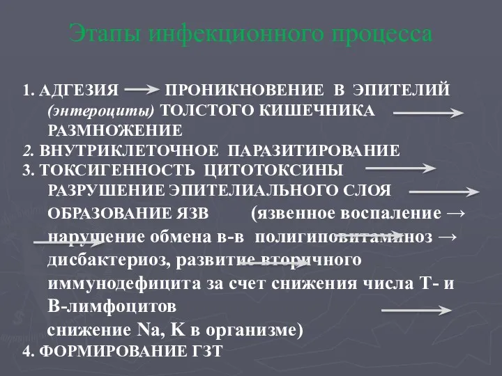 1. АДГЕЗИЯ ПРОНИКНОВЕНИЕ В ЭПИТЕЛИЙ (энтероциты) ТОЛСТОГО КИШЕЧНИКА РАЗМНОЖЕНИЕ 2.