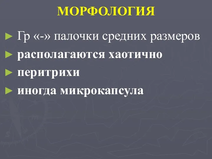 МОРФОЛОГИЯ Гр «-» палочки средних размеров располагаются хаотично перитрихи иногда микрокапсула