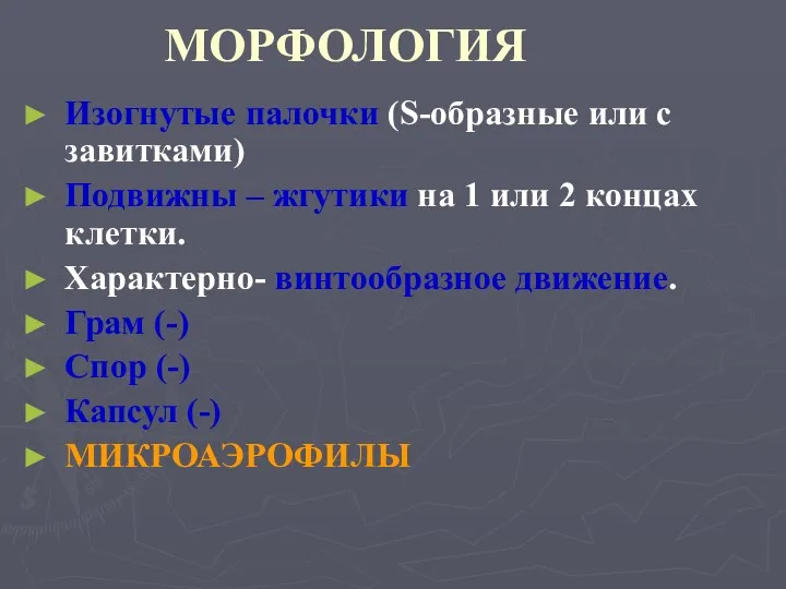 МОРФОЛОГИЯ Изогнутые палочки (S-образные или с завитками) Подвижны – жгутики