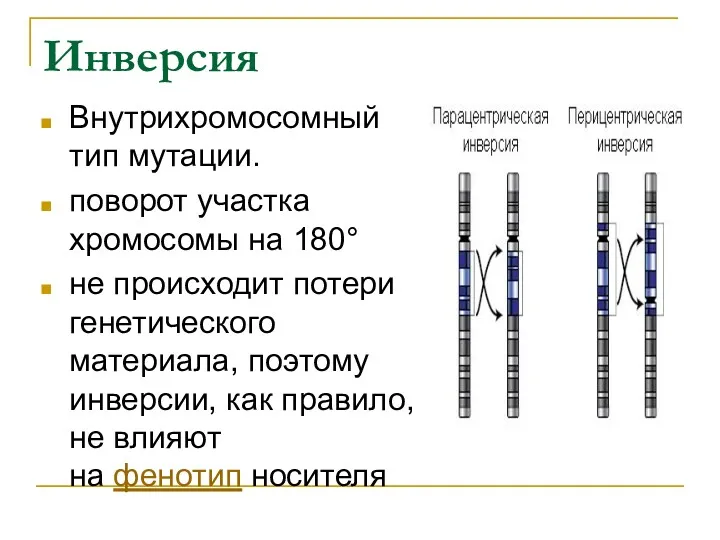 Инверсия Внутрихромосомный тип мутации. поворот участка хромосомы на 180° не