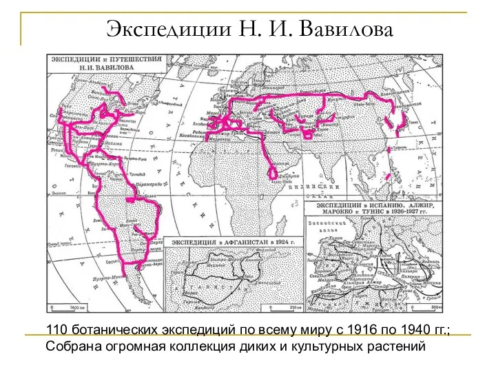 Экспедиции Н. И. Вавилова 110 ботанических экспедиций по всему миру