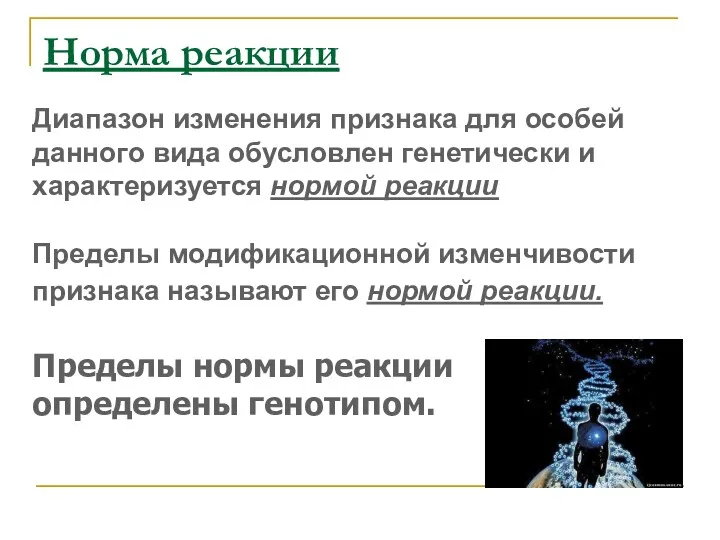 Диапазон изменения признака для особей данного вида обусловлен генетически и