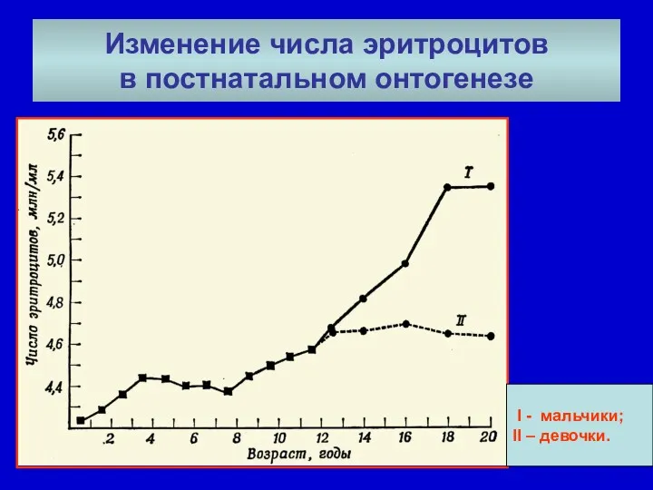 Изменение числа эритроцитов в постнатальном онтогенезе I - мальчики; II – девочки.