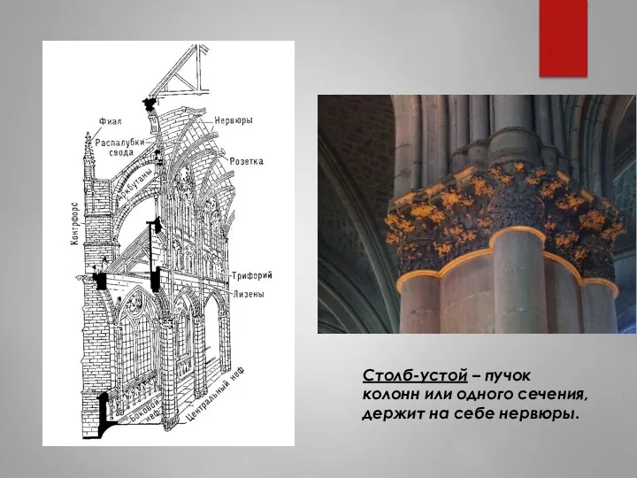 Столб-устой – пучок колонн или одного сечения, держит на себе нервюры.