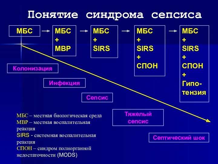 Понятие синдрома сепсиса МБС Колонизация МБС + МВР Инфекция МБС