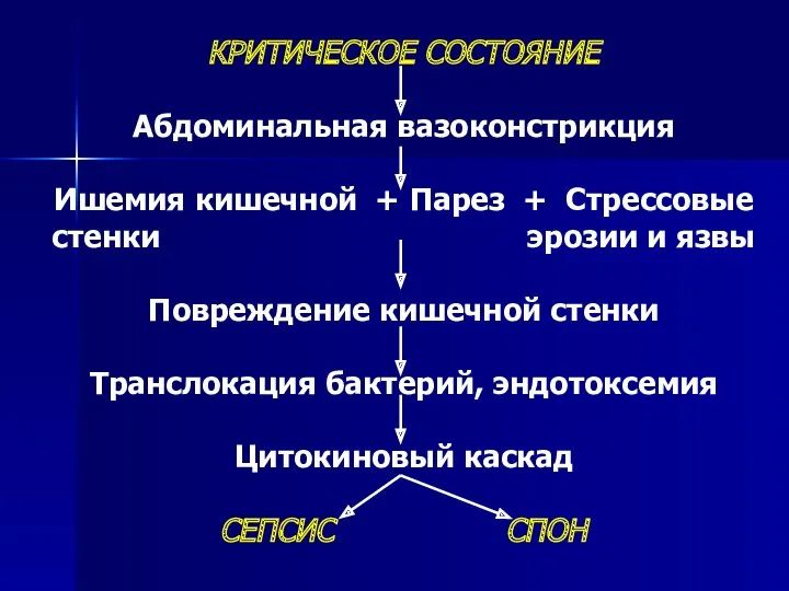 КРИТИЧЕСКОЕ СОСТОЯНИЕ Абдоминальная вазоконстрикция Ишемия кишечной + Парез + Стрессовые стенки эрозии и