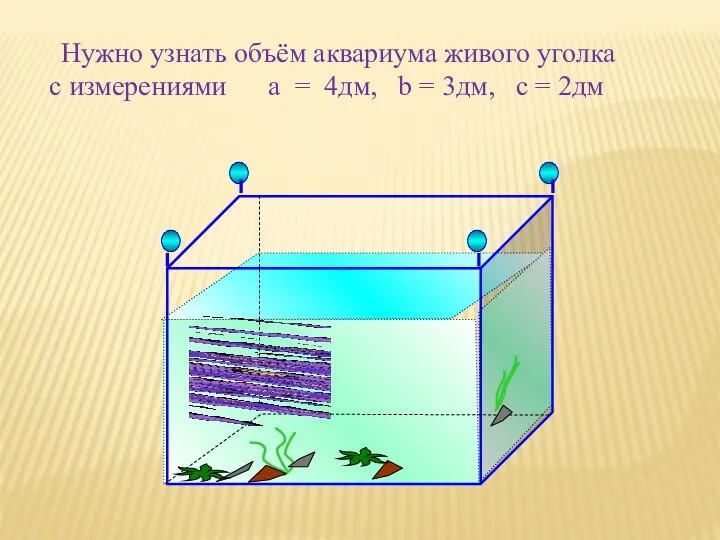 Нужно узнать объём аквариума живого уголка с измерениями a =