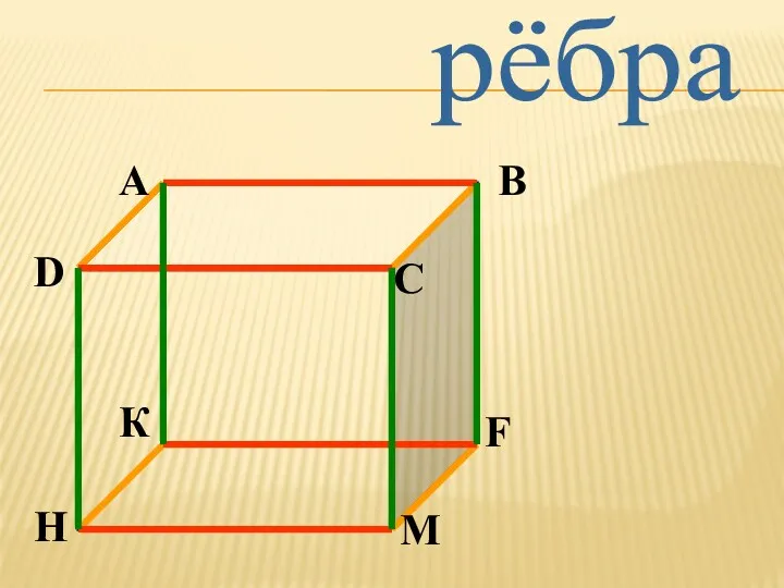 рёбра