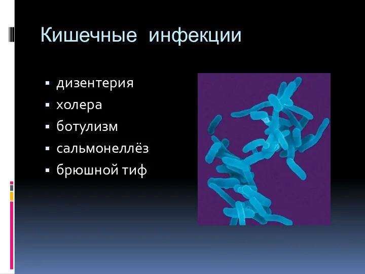 Кишечные инфекции дизентерия холера ботулизм сальмонеллёз брюшной тиф