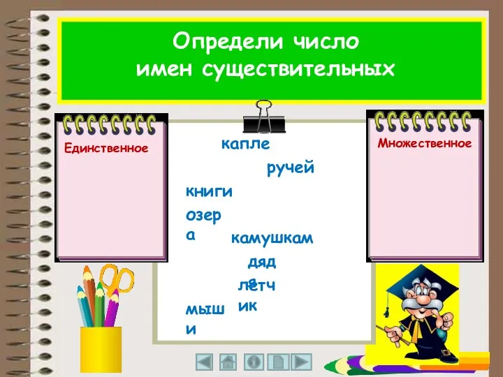Определи число имен существительных мыши Единственное Множественное книги озера ручей капле камушкам дядя летчик