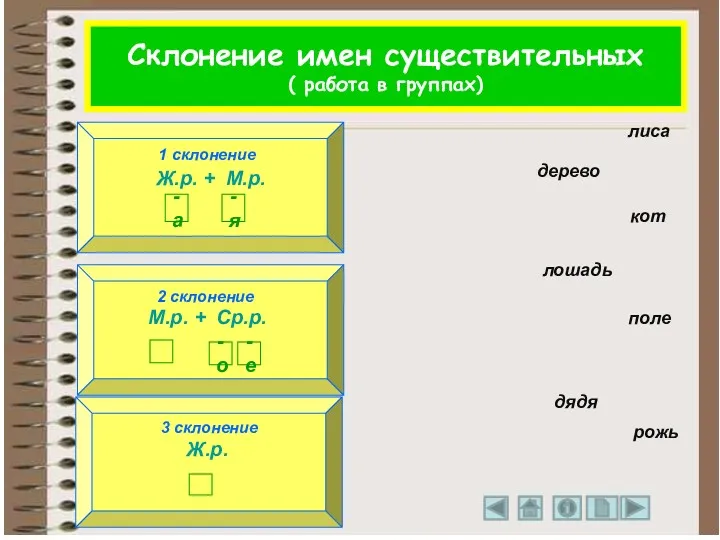 1 склонение 3 склонение 2 склонение лиса дерево кот лошадь