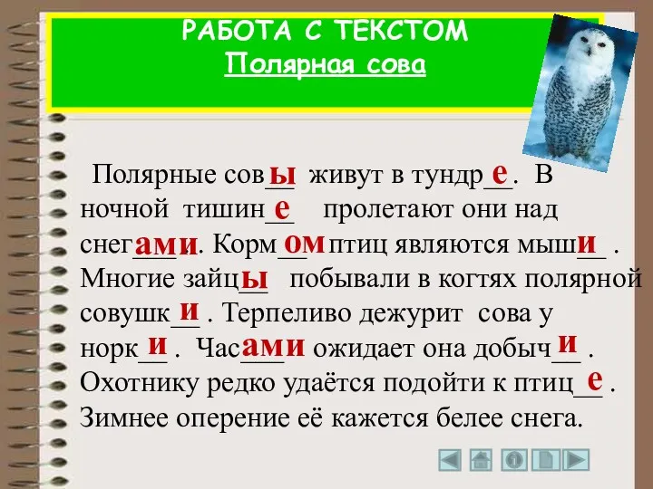 Полярные сов__ живут в тундр__. В ночной тишин__ пролетают они