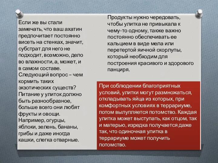 Если же вы стали замечать, что ваш ахатин предпочитает постоянно