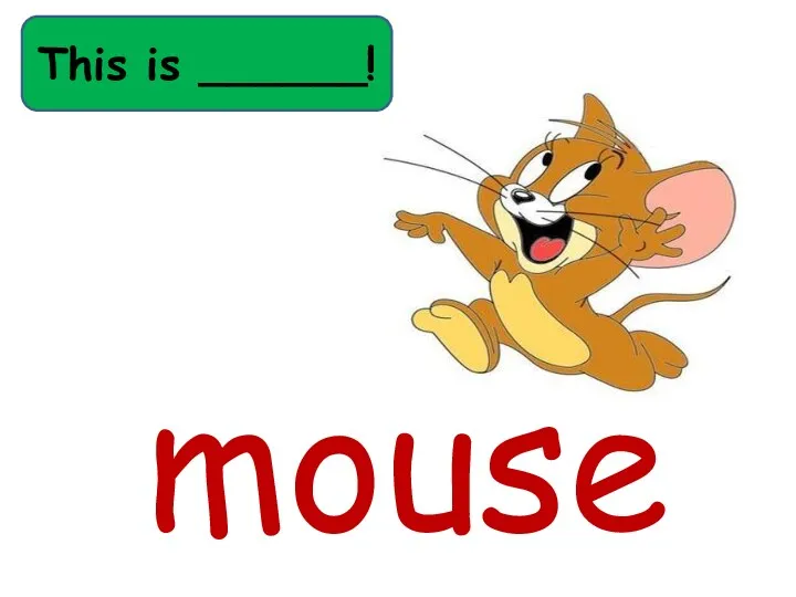 mouse This is ______!