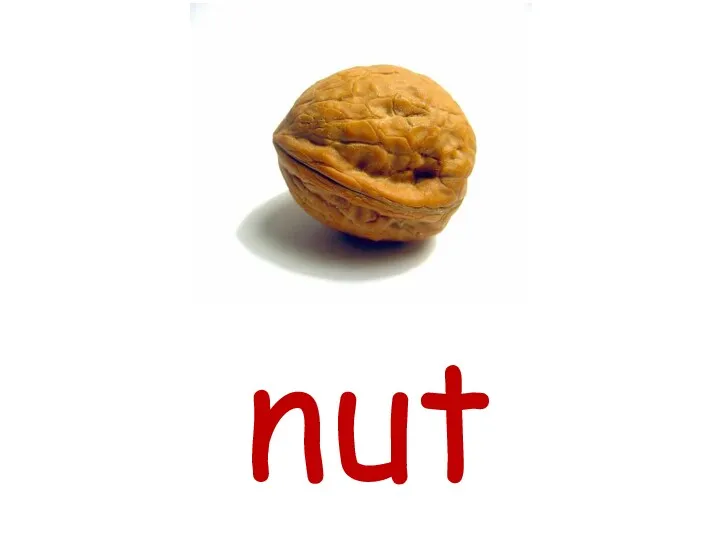 nut