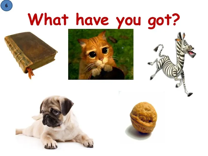 What have you got? 6