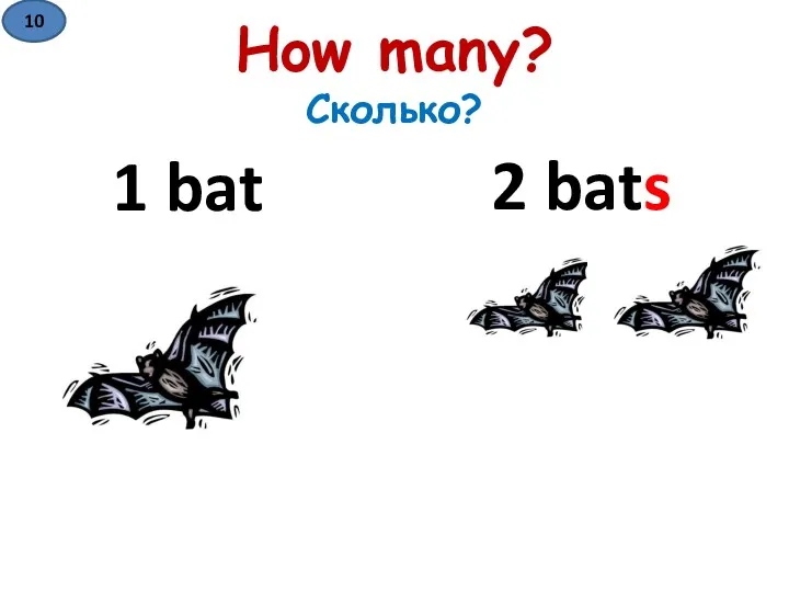 How many? Сколько? 1 bat 2 bats 10