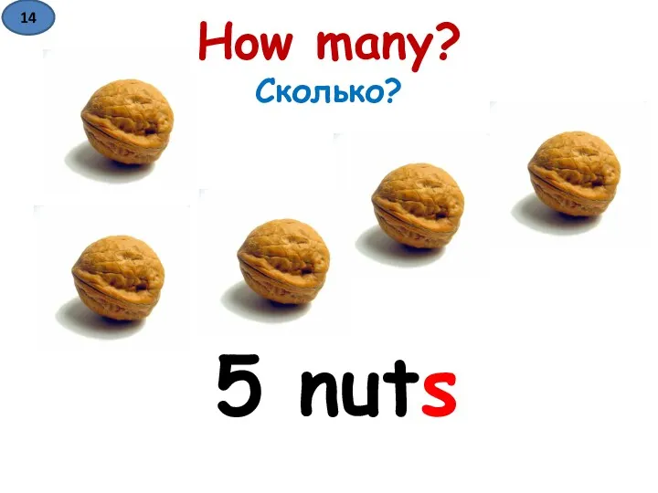 How many? Сколько? 5 nuts 14