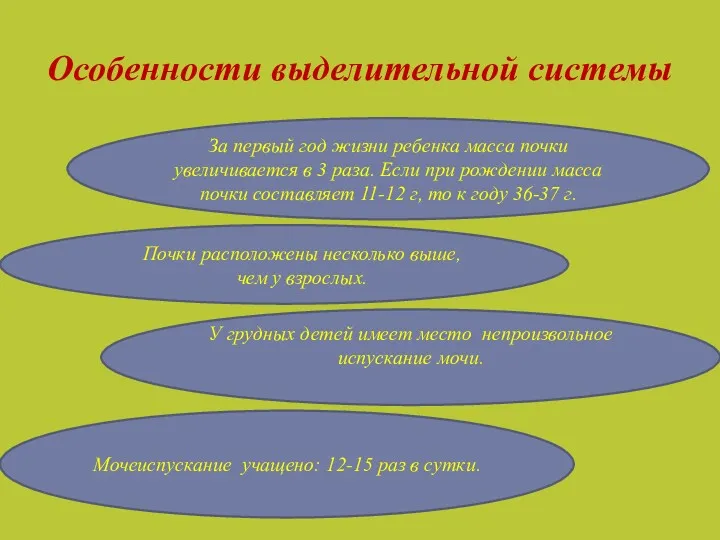 Особенности выделительной системы За первый год жизни ребенка масса почки