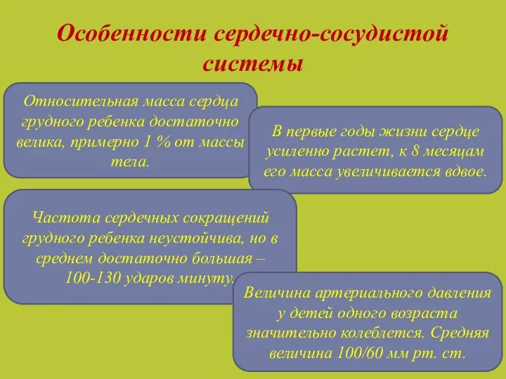 Особенности сердечно-сосудистой системы Относительная масса сердца грудного ребенка достаточно велика,