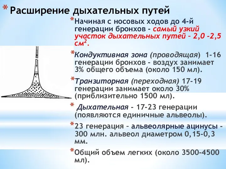 Расширение дыхательных путей Начиная с носовых ходов до 4-й генерации