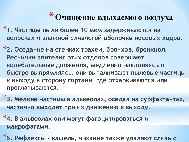 Очищение вдыхаемого воздуха 1. Частицы пыли более 10 мкм задерживаются на волосках и