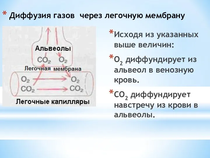 Диффузия газов через легочную мембрану Исходя из указанных выше величин: О2 диффундирует из