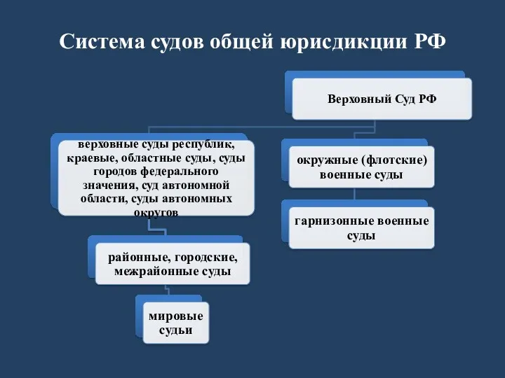 Система судов общей юрисдикции РФ