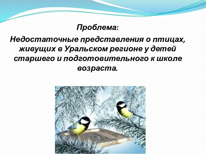 Проблема: Недостаточные представления о птицах, живущих в Уральском регионе у