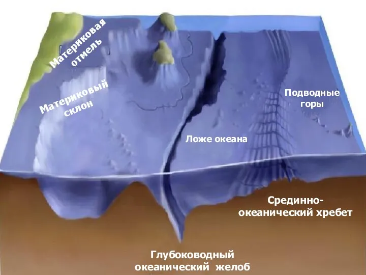 Рельеф дна Мирового океана Материковая отмель Материковый склон Ложе океана