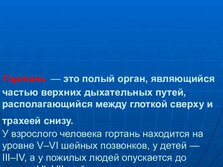 Гортань — это полый орган, являющийся частью верхних дыхательных путей,