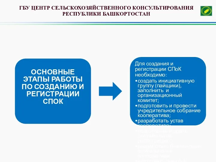 ОСНОВНЫЕ ЭТАПЫ РАБОТЫ ПО СОЗДАНИЮ И РЕГИСТРАЦИИ СПОК Для создания