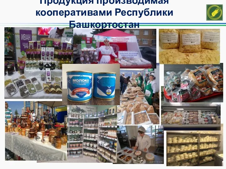 Продукция производимая кооперативами Республики Башкортостан