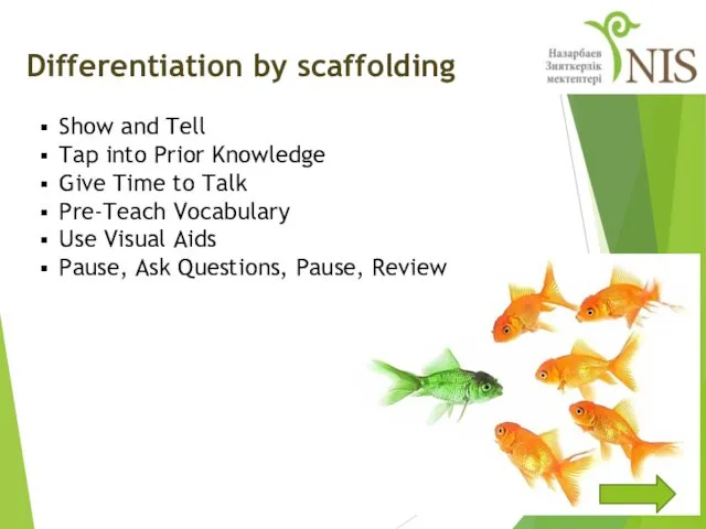 Differentiation by scaffolding Show and Tell Tap into Prior Knowledge Give Time to