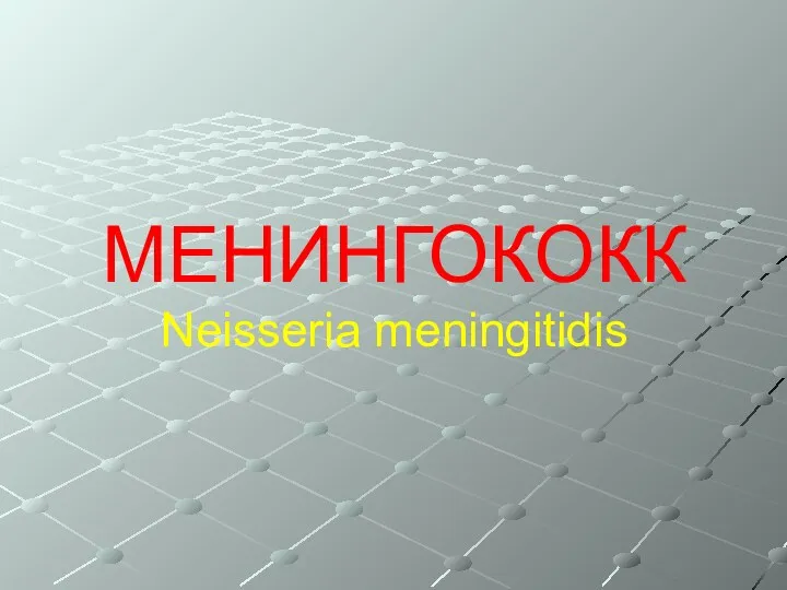 МЕНИНГОКОКК Neisseria meningitidis