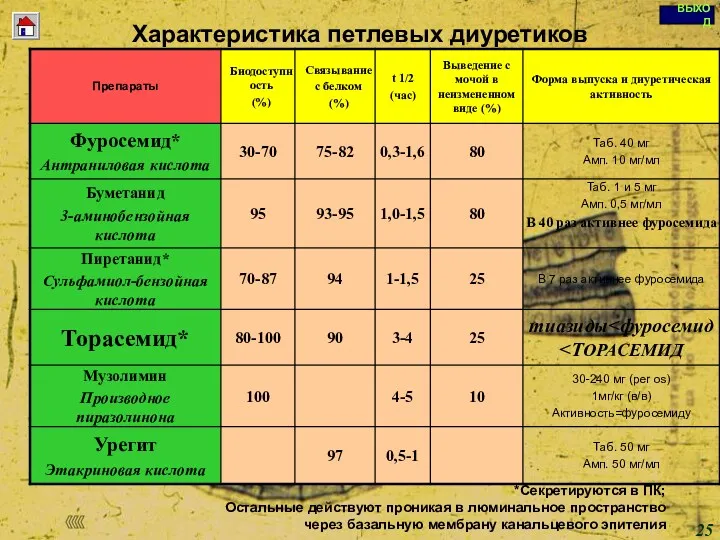 Copyright © I-Design 2002 Характеристика петлевых диуретиков *Секретируются в ПК;