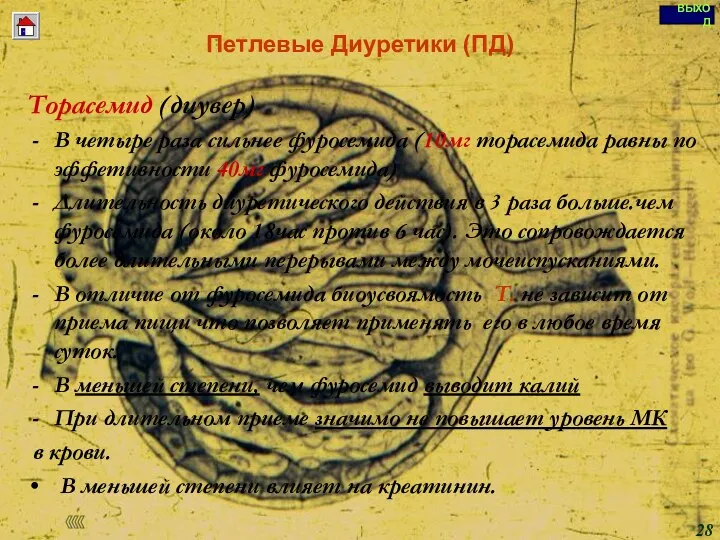 Петлевые Диуретики (ПД) Торасемид (диувер) В четыре раза сильнее фуросемида