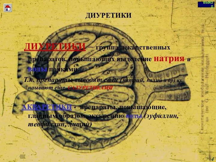 ДИУРЕТИКИ ДИУРЕТИКИ – группа лекарственных препаратов, повышающих выделение натрия и