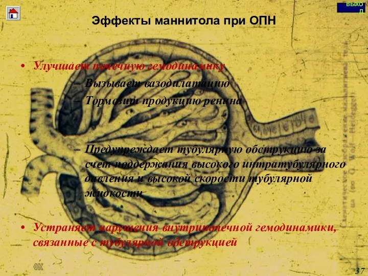 Copyright © I-Design 2002 Эффекты маннитола при ОПН Улучшает почечную